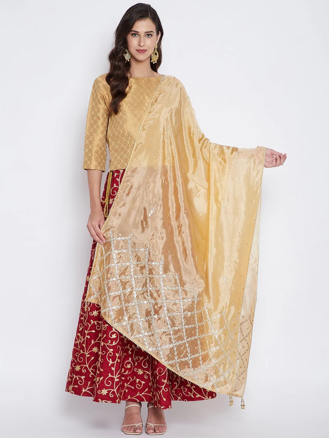 Women Fawn Embellished Dupatta