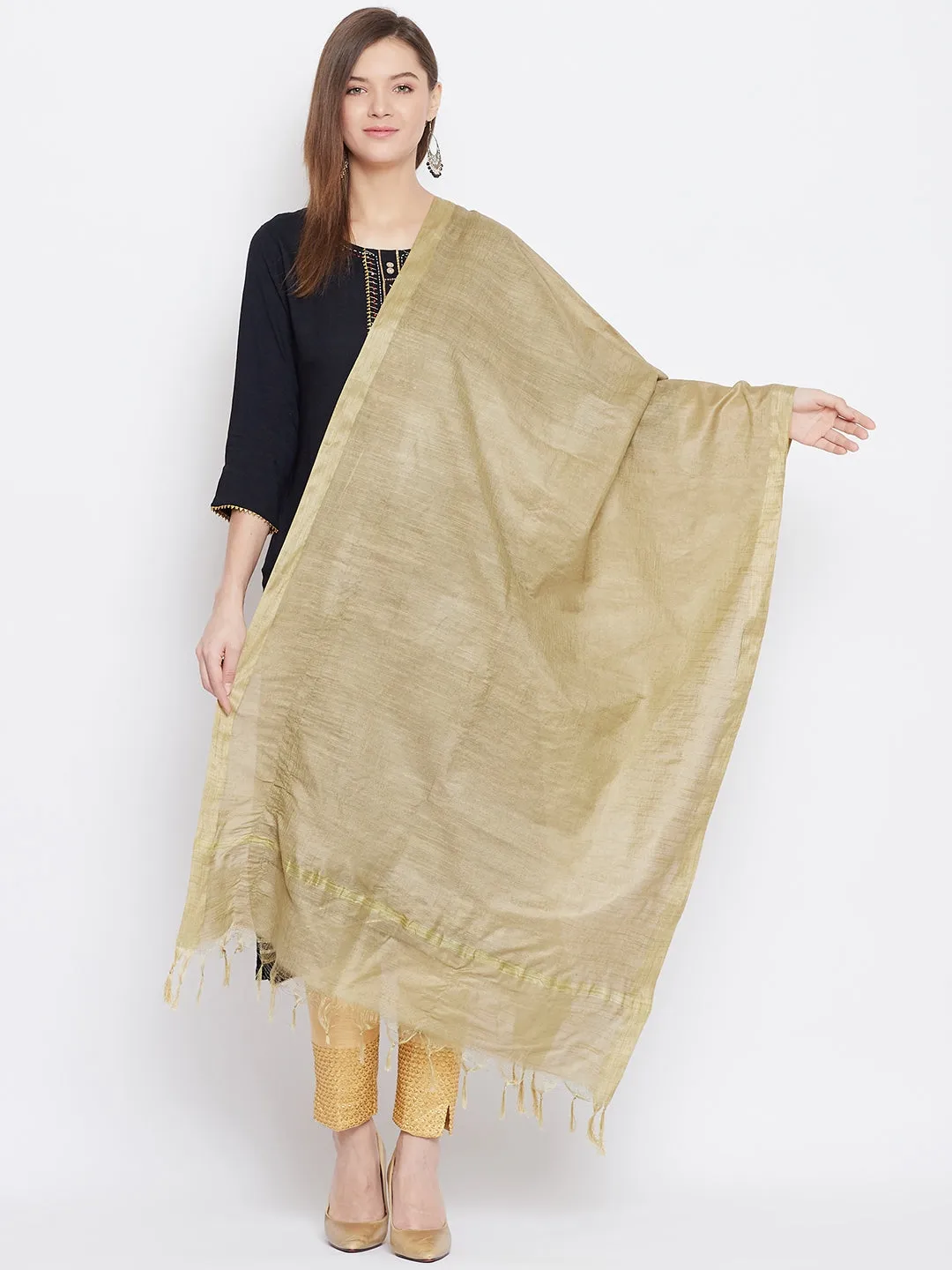 Women Fawn Solid Tussar Silk Dupatta